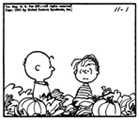 vignetta con Linus e Charlie Brown nel campo di zucche