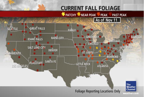 Foliage Map – The Weather Channel