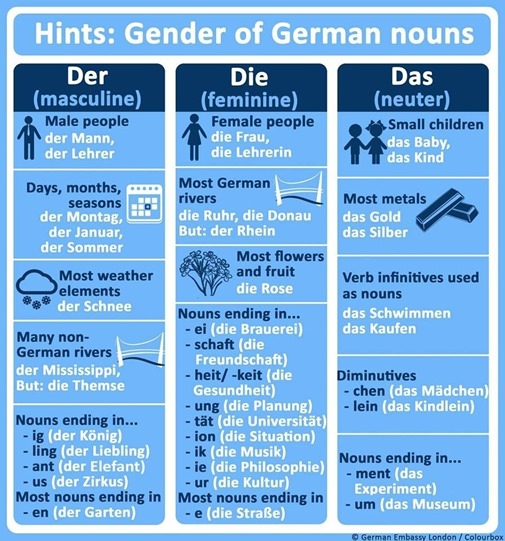 German genders