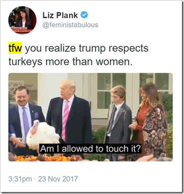 [foto di Trump che davanti a un tacchino chiede se gli è consentito toccarlo] tfw you realize trump respects turkeys more than women.