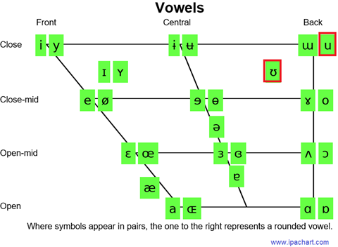 IPA vowel chart - u