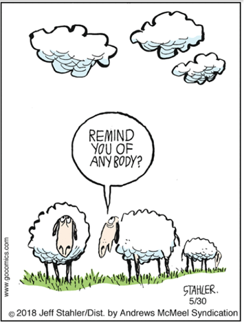 vignetta con pecore che stanno pascolando. Guardando il cielo pieno di nuvolette una chiede all’altra “remind you of anybody?” 