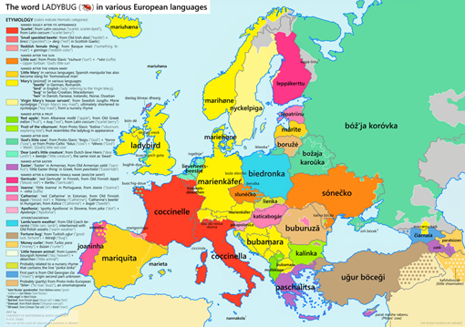 coccinella nelle lingue europee