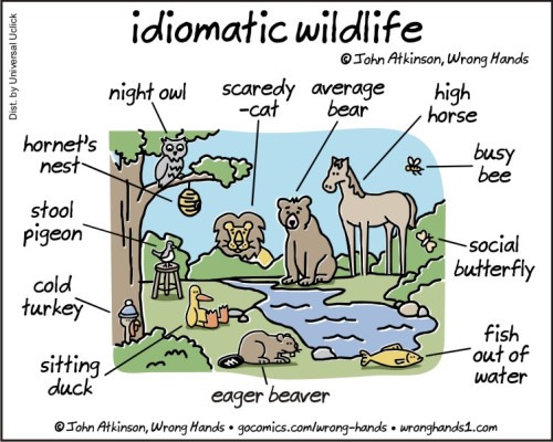 vignetta con frasi idiomatiche relative ad animali