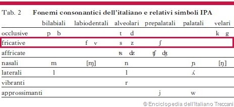 Fonemi consonantici dell’italiano e relativi simboli IPA