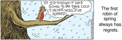 vignetta con pettirosso americano che trema dal freddo mentre nevica: “If I’d known it was going to be this cold I never would’ve worried” 