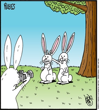 vignetta con coniglio che fa foto a due conigli, uno dei quali mette indice e medio a V dietro la testa dell’altro