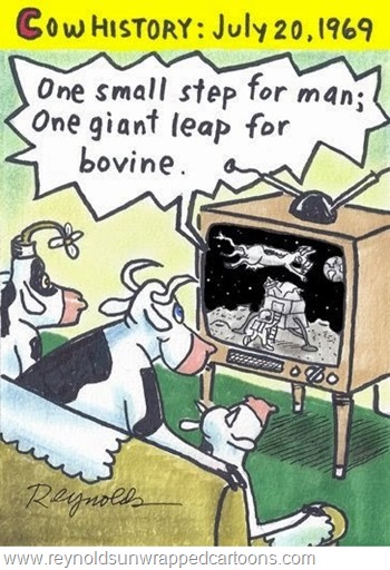 vignetta intitolata Cow history: July 20, 1962. Mucche che guardano TV con allunaggio e mucca che salta sopra il LEM, voce fuori campo One small step for man; One giant leap for bovine