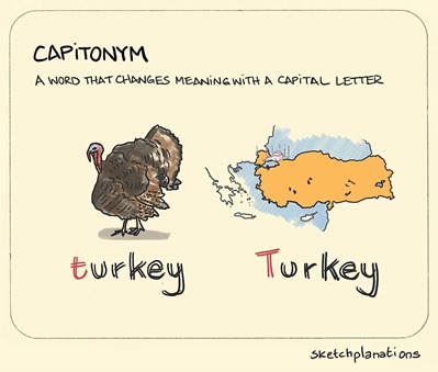 Capitonym: a word that changes meaning with a capital letter, like turkey vs Turkey