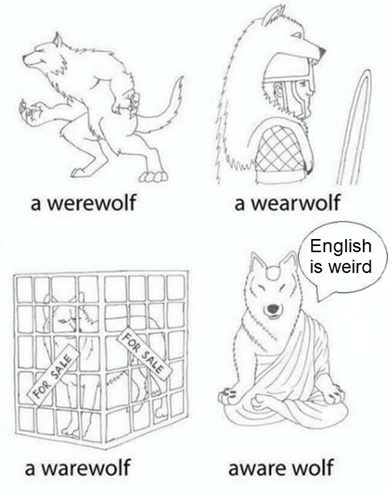 meme “aware wolf”