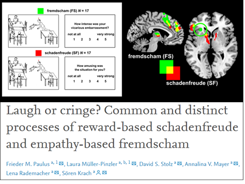 Laugh or cringe? Common and distinct processes of reward-based schadenfreude and empathy-based fremdscham