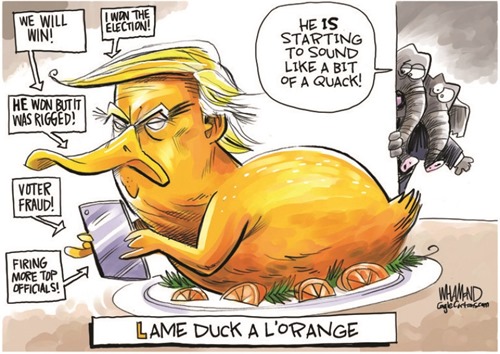 vignetta con Trump rappresentato come anatra arrosto color arancione che twitta rabbiosamente