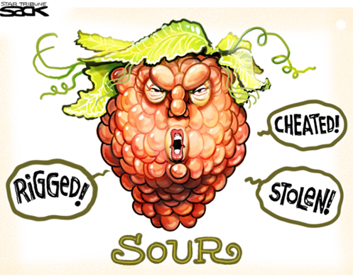 Testa di Trump a forma di grappolo d’uva che urla CHEATED! STOLEN!! RIGGED!