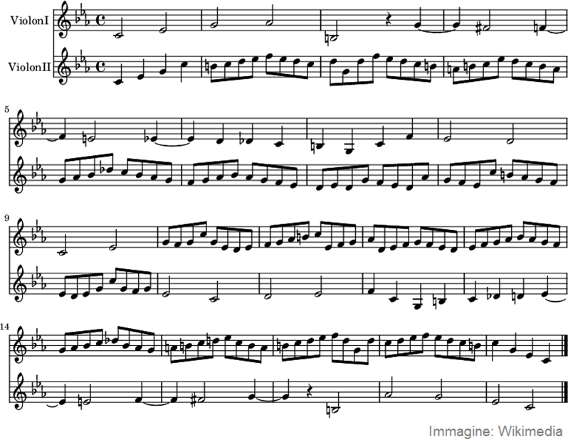 spartito del Canone 1 a 2 di Bach