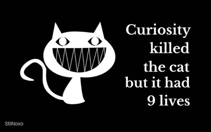 Curiosity killed the cat but it had 9 lives
