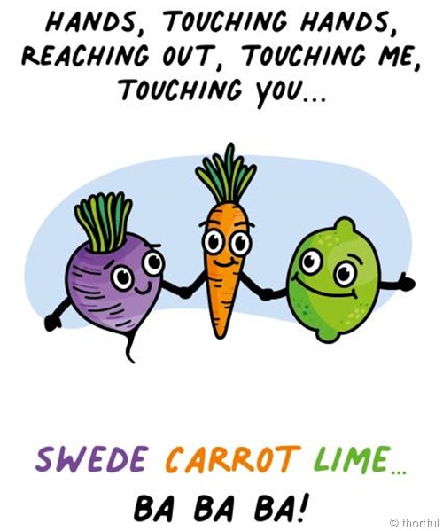 Disegno di rutabaga, carota e lime che si tengono per mano e i versi della canzone “hands, touching hands, reaching out, touching me, touching you” e scritta “swede, carrot lime… ba ba ba!”